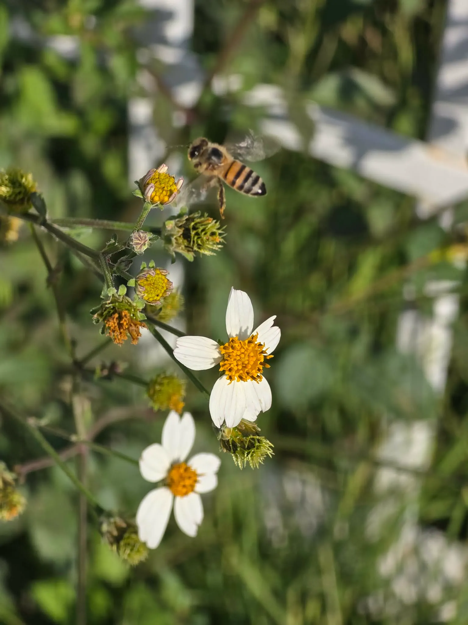 df625e17 9cb6 48c5 b27a 5a3f10e7da2d