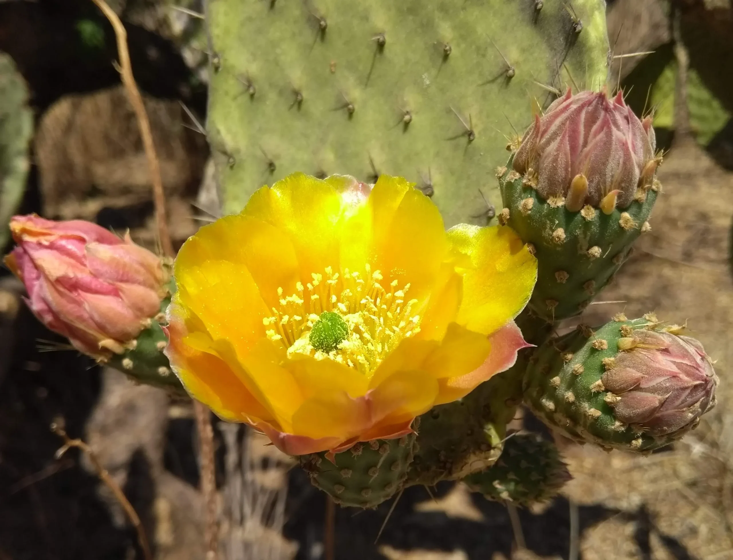 img 20210410 114747502